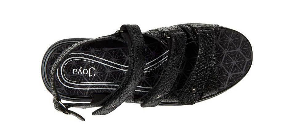 ID Kyoto Black Snake